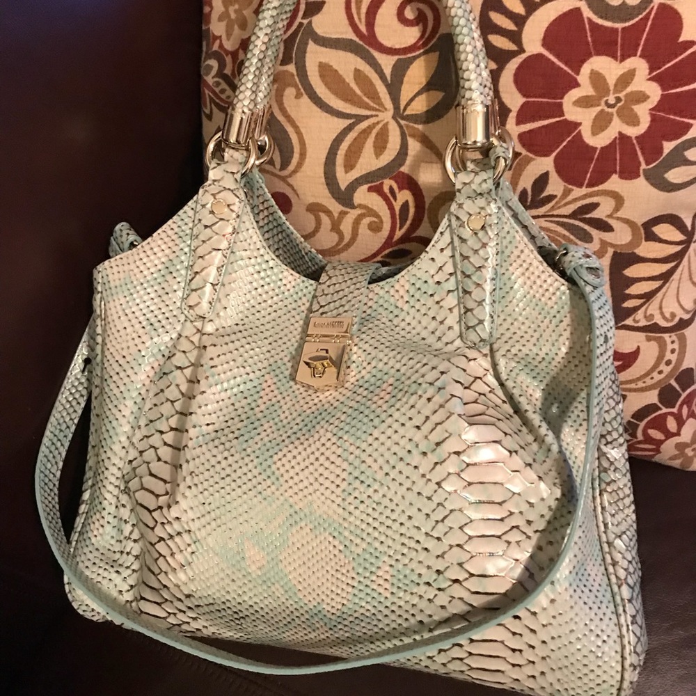 Brahmin Python Elisa